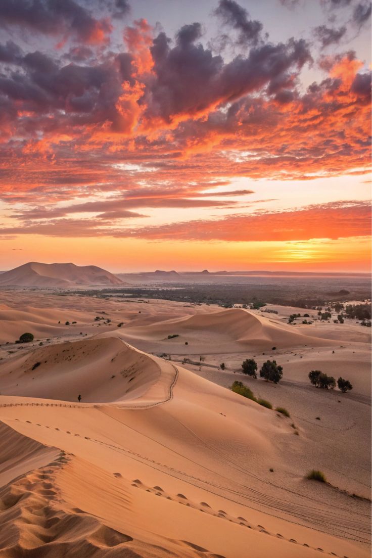 Circuit Désert Maroc – Désert & Vagues | Voyage Sahara depuis Marrakech | Pampa Voyage