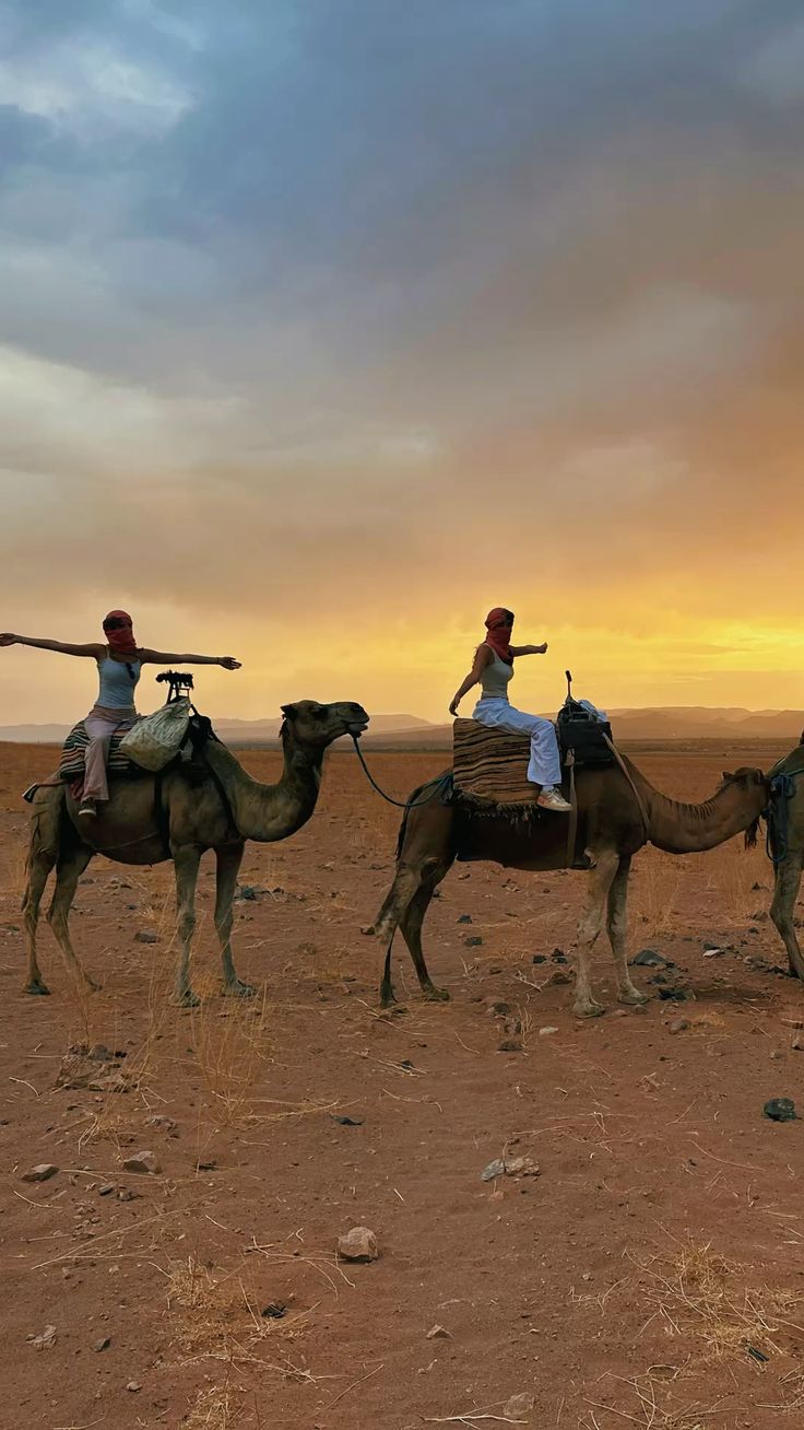 8-day camel trek in Zagora departing from Marrakech | Tour in the Moroccan Sahara Desert