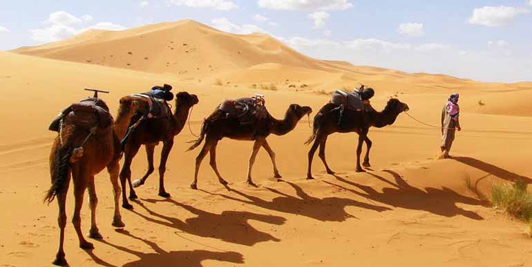 8-Day Camel Trekking in Tagounite from Marrakech | Moroccan Sahara Experience