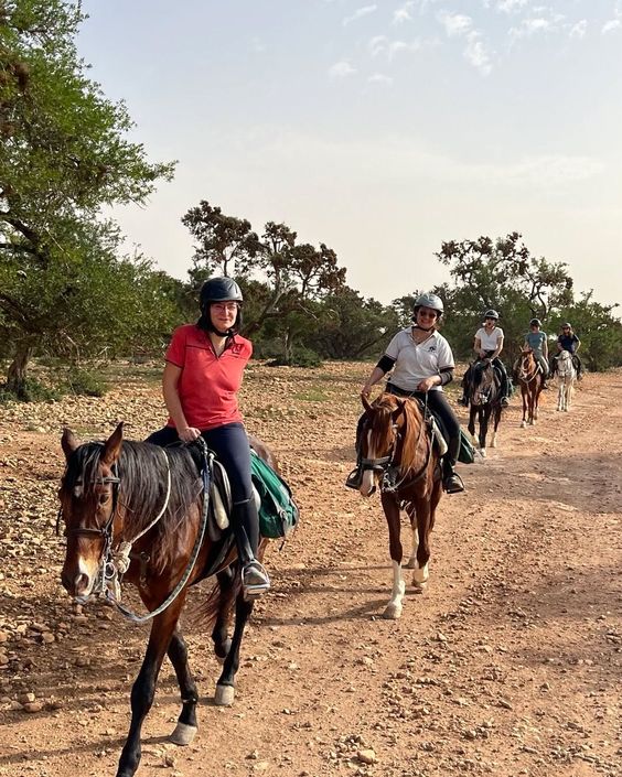 Horseback Riding in Marrakech Palm Grove | 1-Hour Horseback Ride from €35